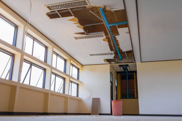 Best Flooded house restoration  in Panora, IA