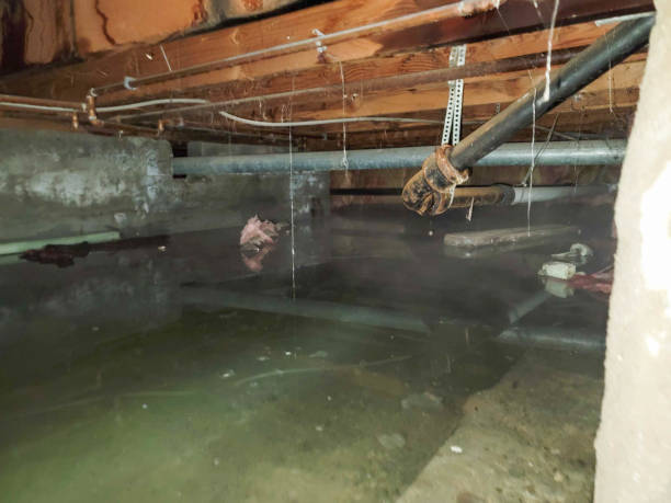 Water damage restoration insurance claims in Panora, IA