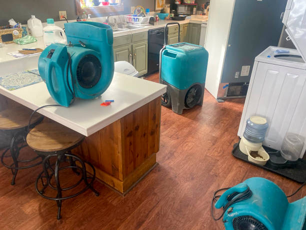 Best Basement water damage restoration  in Panora, IA