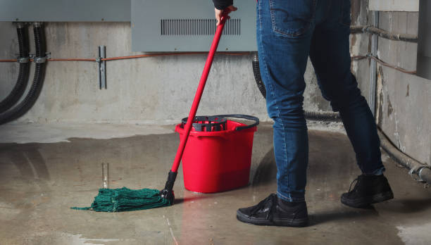 Water damage restoration mold remediation in Panora, IA