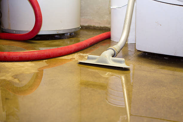 Trusted Panora, IA Water damage restoration Experts