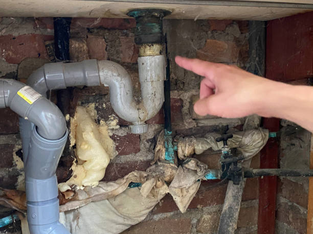 Best Flood damage cleanup  in Panora, IA