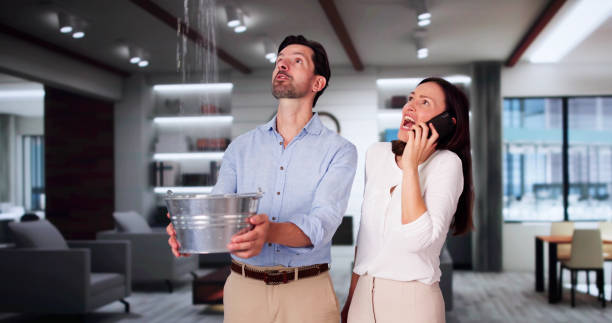 Best Water damage restoration mold remediation  in Panora, IA