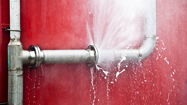 Carpet water damage restoration in Panora, IA